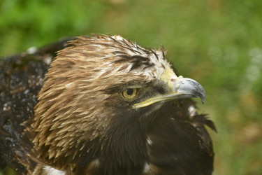 Similar image 21651718