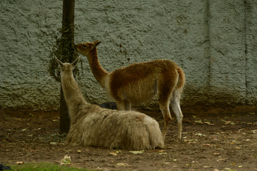 Similar image 21651719