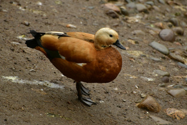 Similar image 21651720