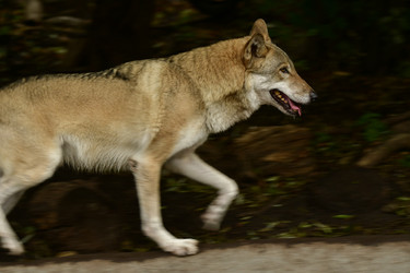 Similar image 21651721