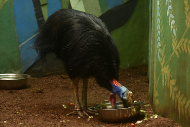 Similar image 21651722