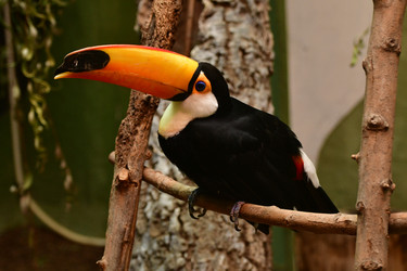 Similar image 21651723