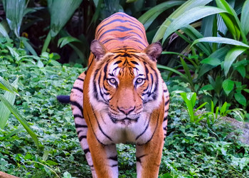 Similar image 21652136