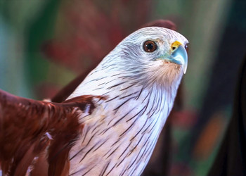 Similar image 21652137