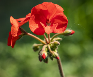 Similar image 21650395