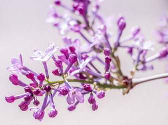 Similar image 21650399