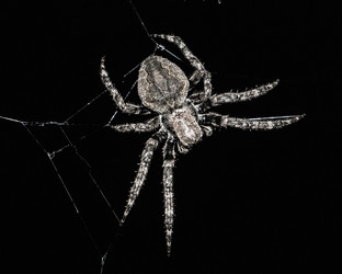 Similar image 21650405