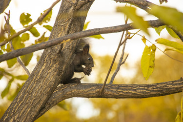 Similar image 21650409