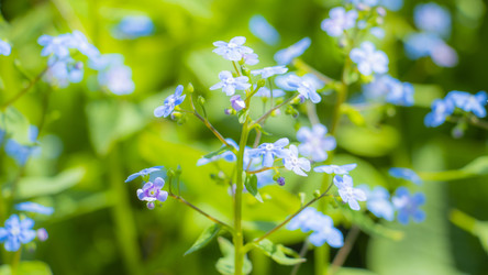 Similar image 21650411