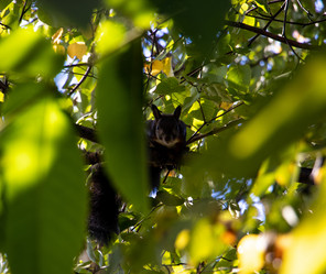 Similar image 21650420