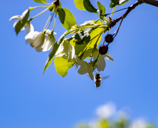 Similar image 21650427