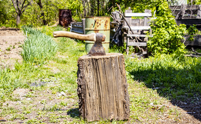 Similar image 21650428