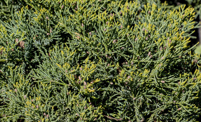 Similar image 21650431