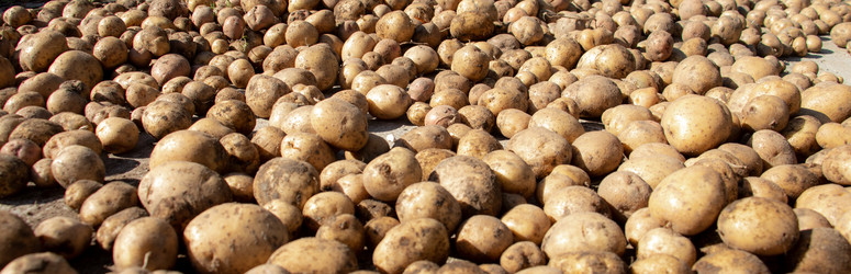 Similar image 21650432