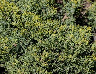 Similar image 21650433