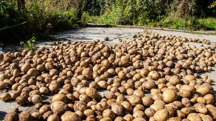 Similar image 21650434