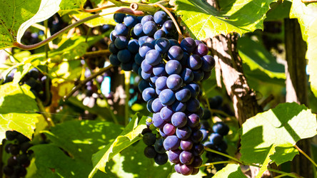 Similar image 21650437