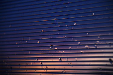 Similar image 21650301