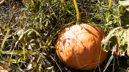 Similar image 21650439