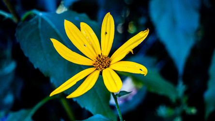 Similar image 21650441