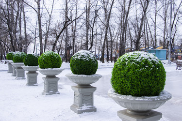 Similar image 21650730