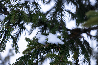 Similar image 21650732