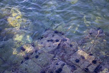 Similar image 21650733