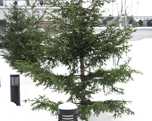 Similar image 21650736