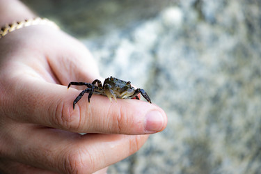 Similar image 21650737