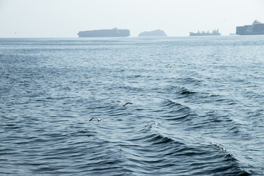 Similar image 21650738