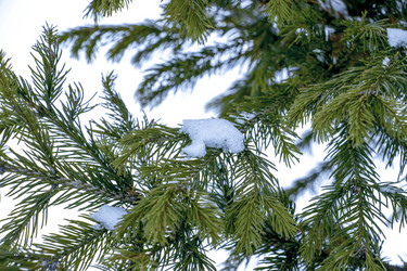 Similar image 21650742