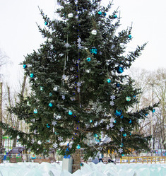 Similar image 21650744