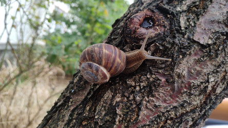 Similar image 21652543