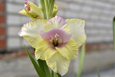 Similar image 21652198