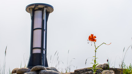 Similar image 21650488