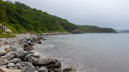 Similar image 21650490