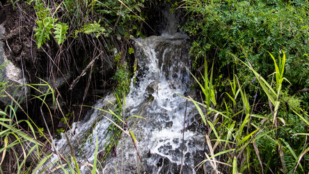 Similar image 21650494