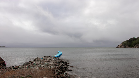 Similar image 21650502