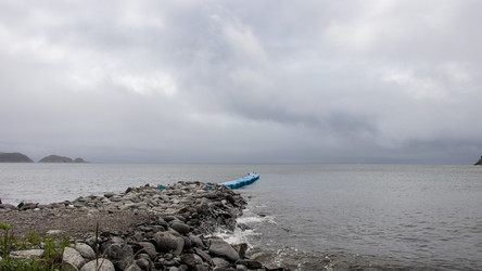 Similar image 21650506