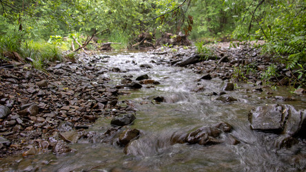 Similar image 21650518