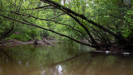 Similar image 21650522