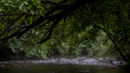 Similar image 21650526