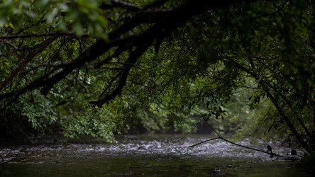 Similar image 21650528