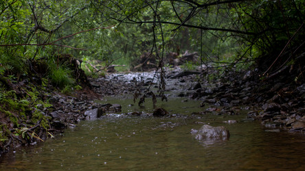 Similar image 21650532