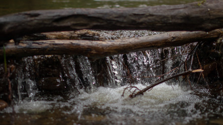 Similar image 21650534