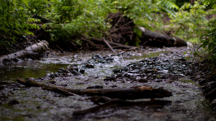 Similar image 21650538