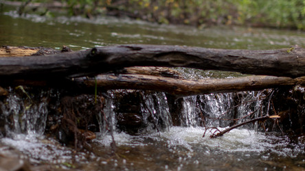 Similar image 21650540