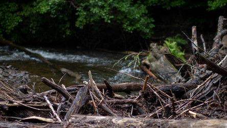 Similar image 21650542