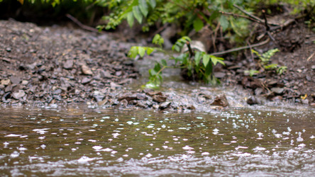 Similar image 21650544