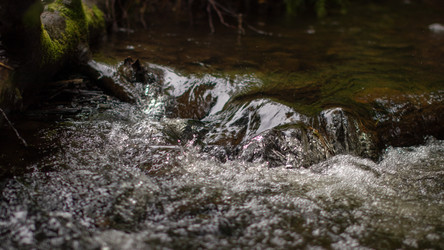 Similar image 21650548